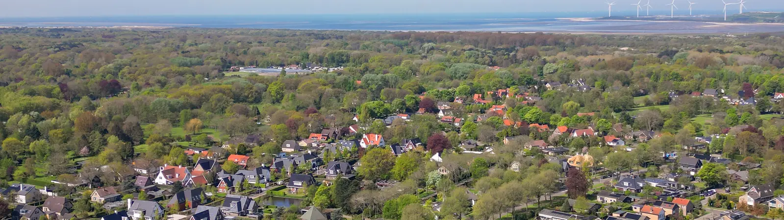 Makelaar Oostvoorne